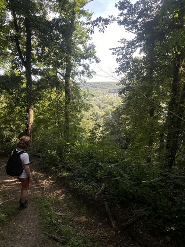 St-Rémy-Lès-Chevreuse